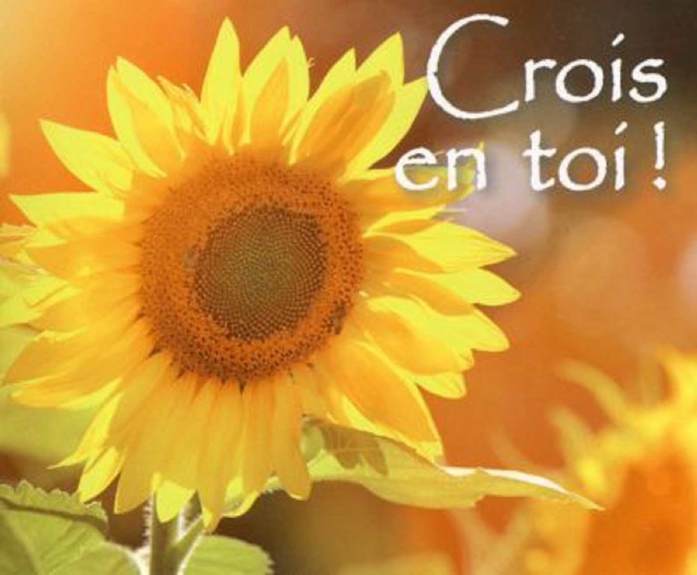 PACK CROIS EN TOI 5EX MP126