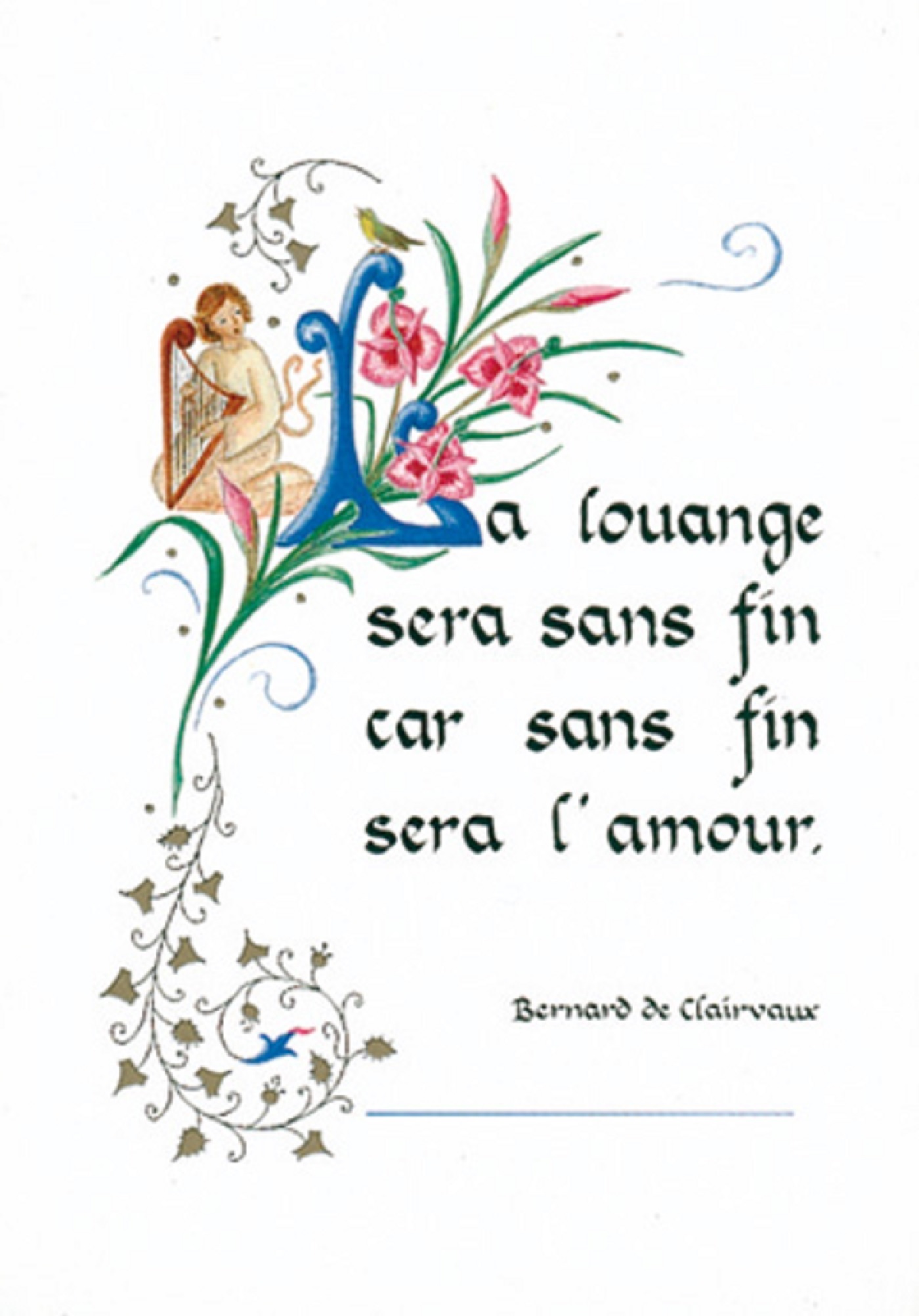 PACK ENLUMINURE AN213 10EX