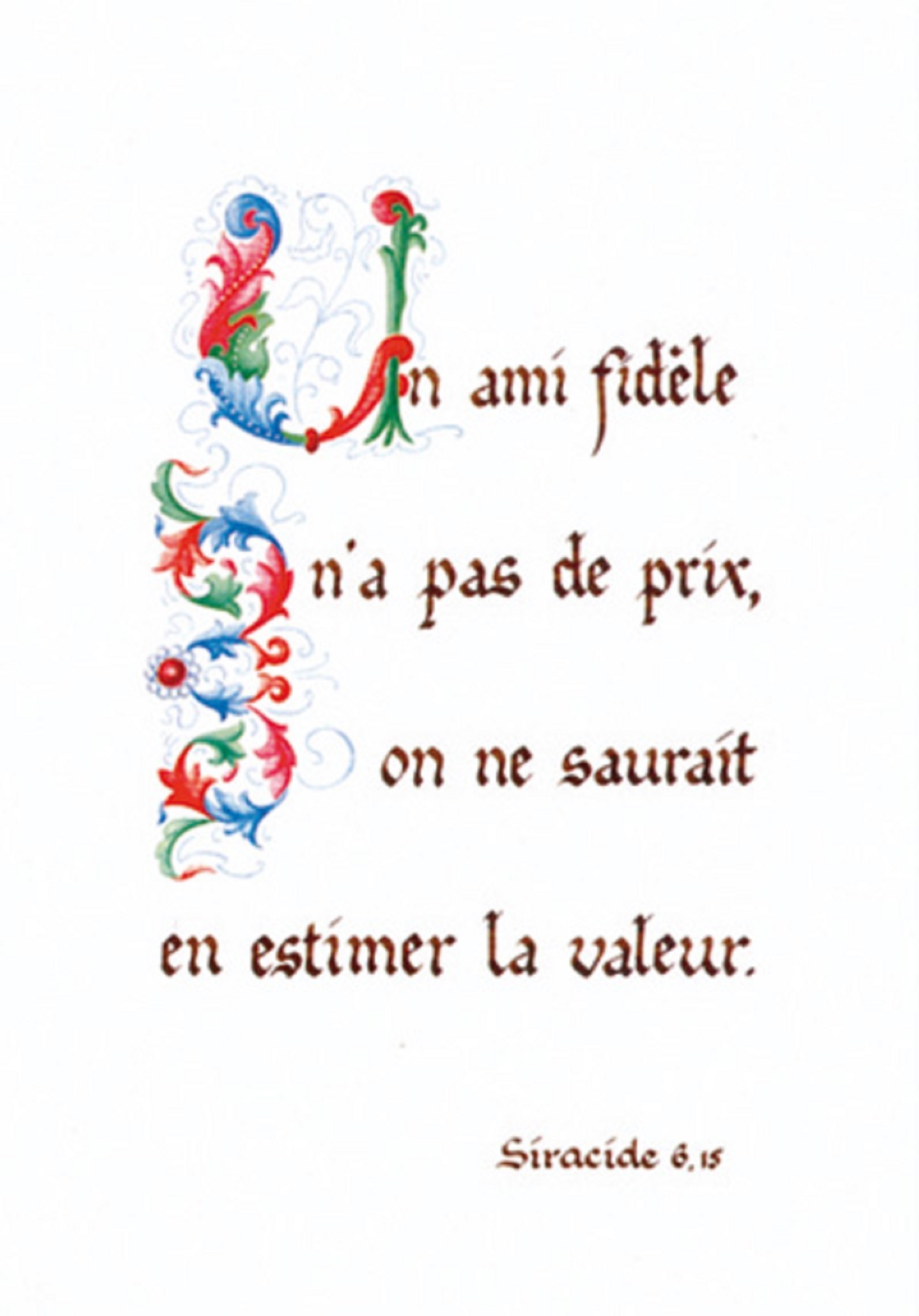 PACK ENLUMINURE AN262 10EX