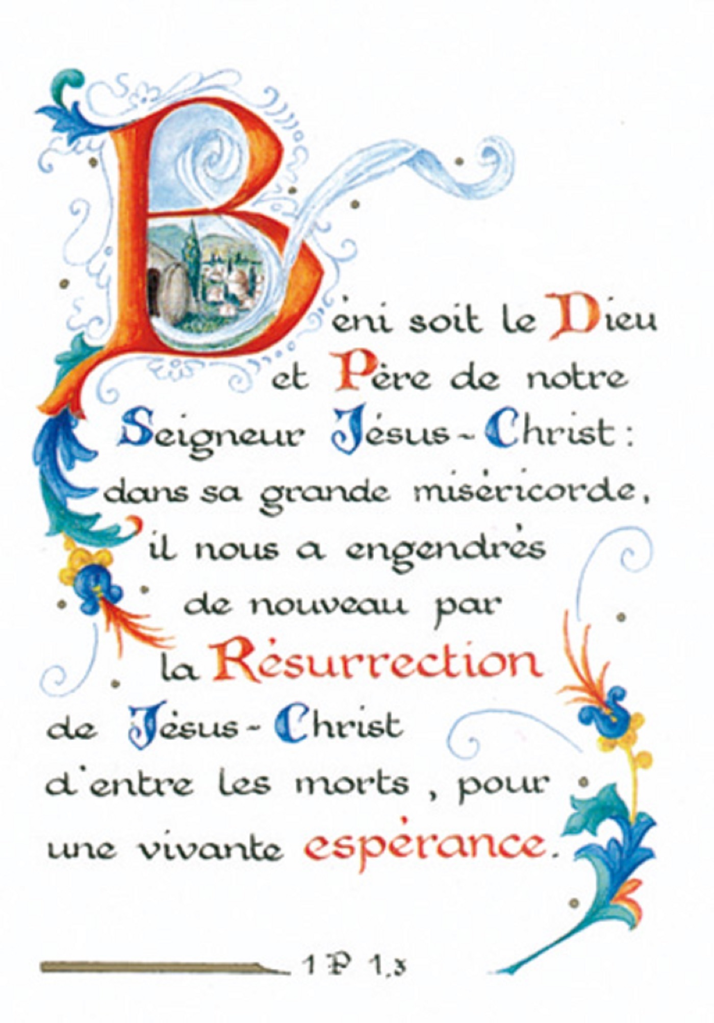 PACK ENLUMINURE AN164 10EX