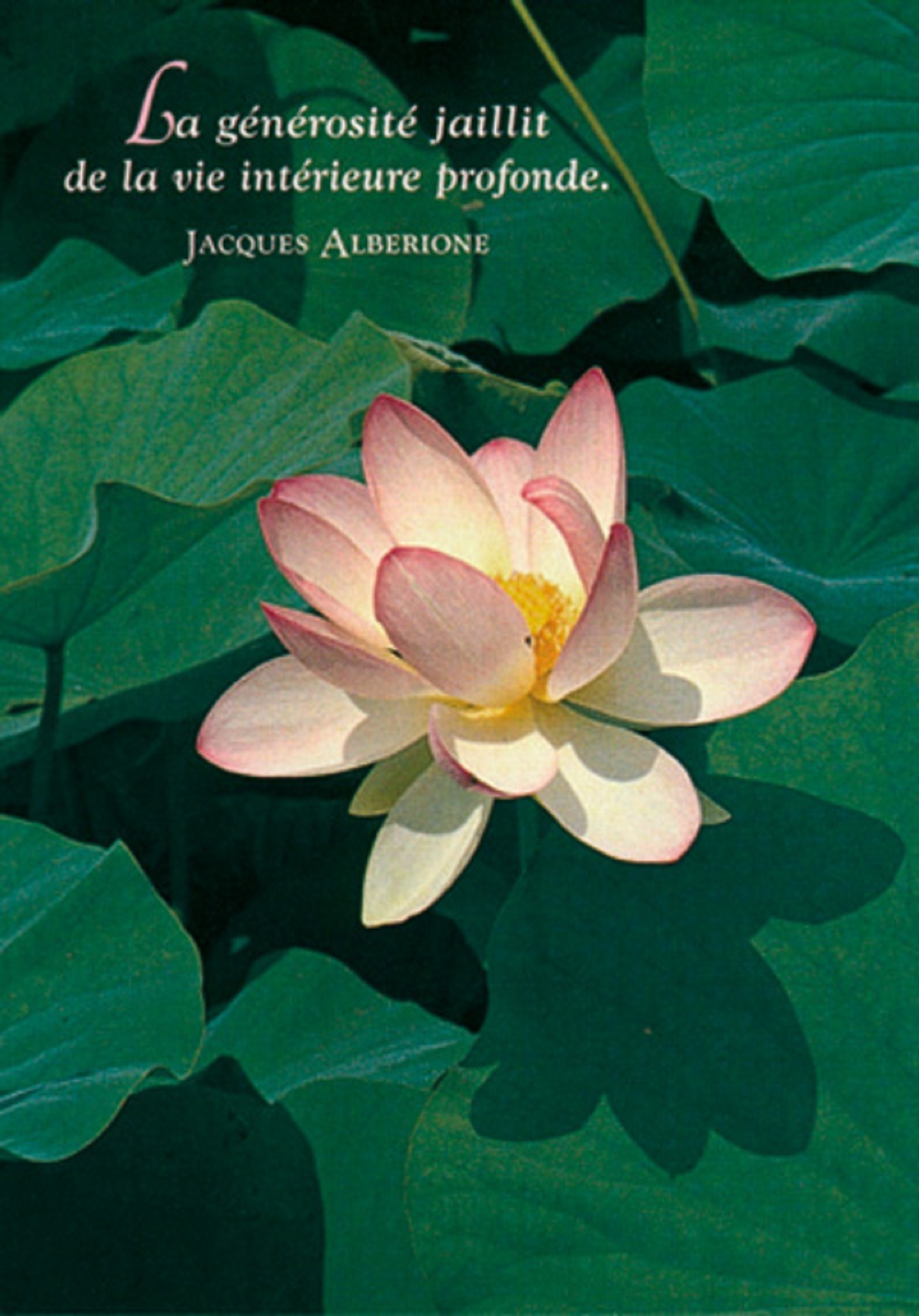 PACK SAISONS CP422 10EX