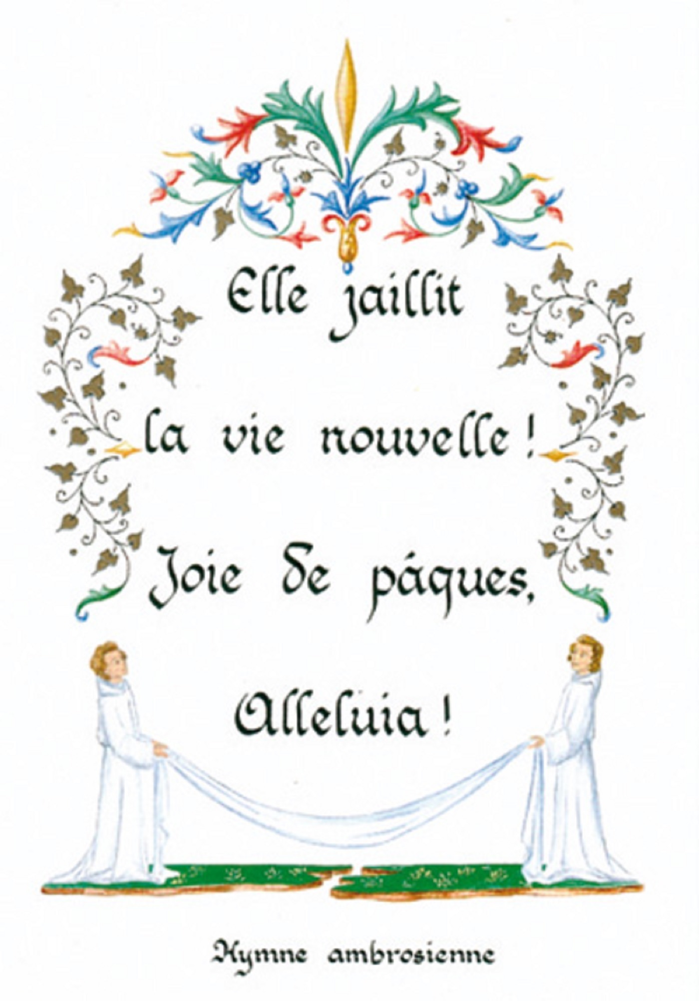 PACK ENLUMINURE AN242 10EX