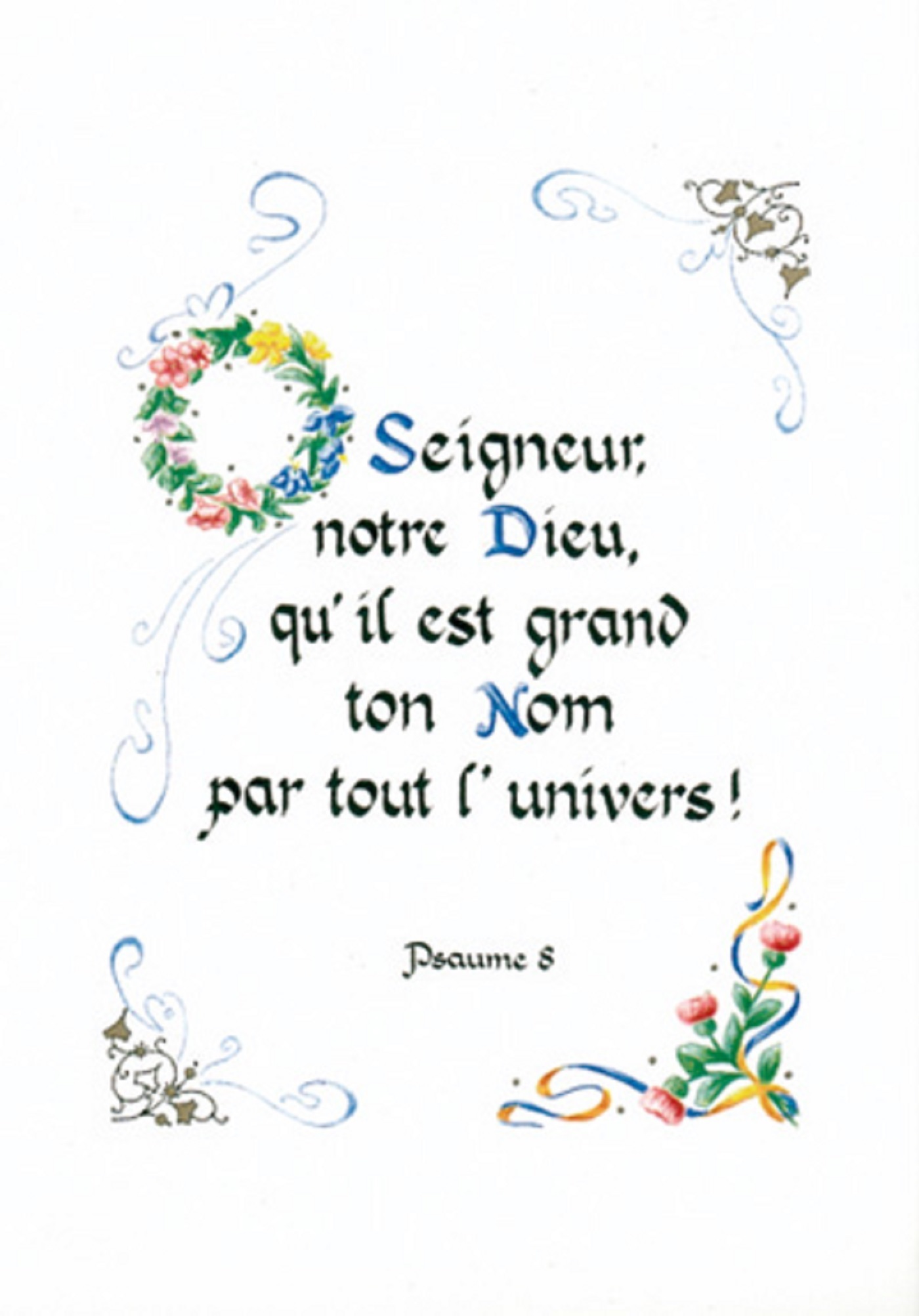 PACK ENLUMINURE AN216 10EX