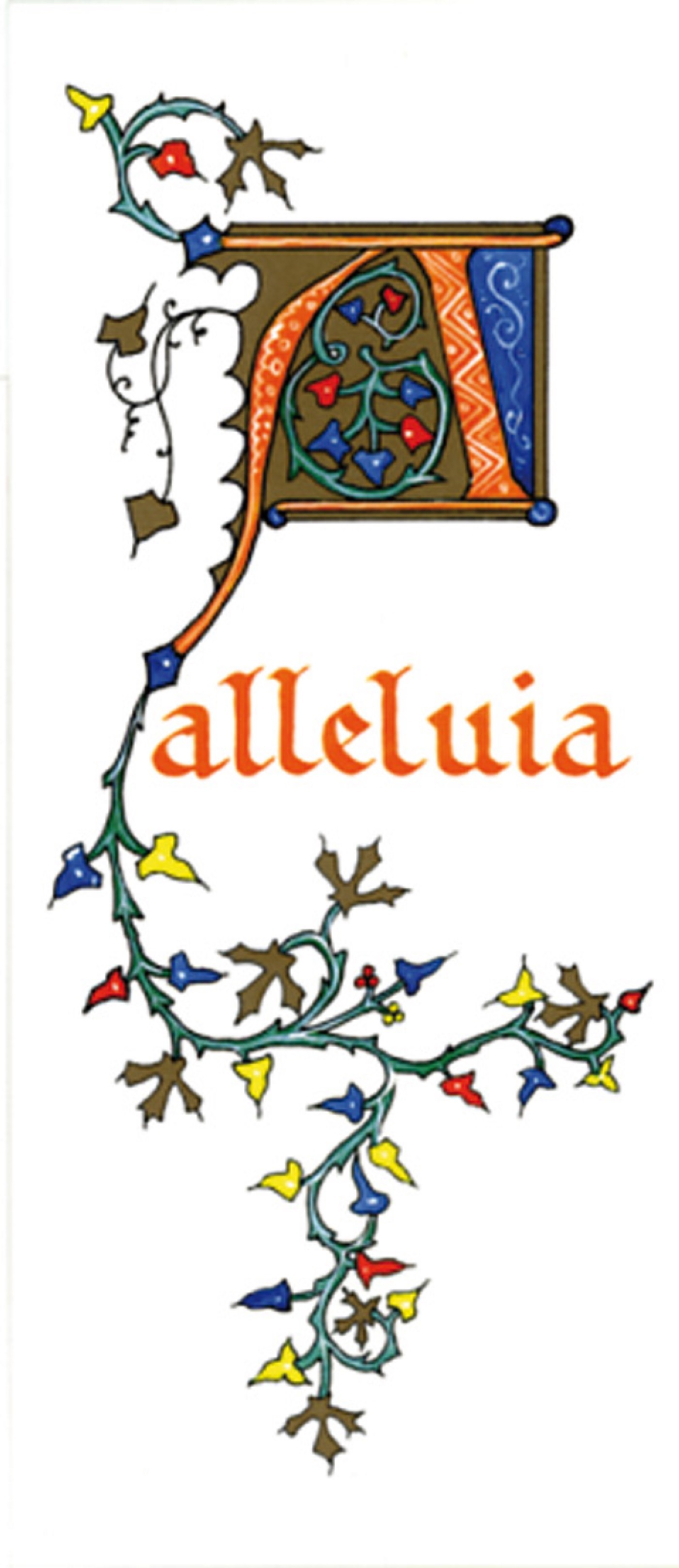 PACK TEMPS FORTS SI23 10EX