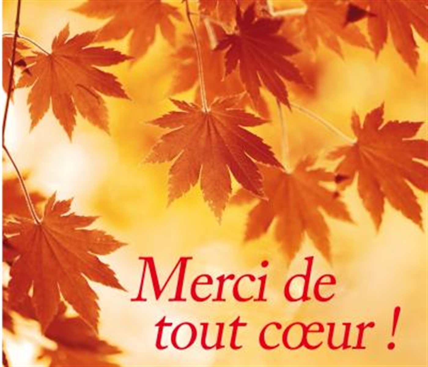 PACK MERCI DE TOUT CoeUR MP139 5EX