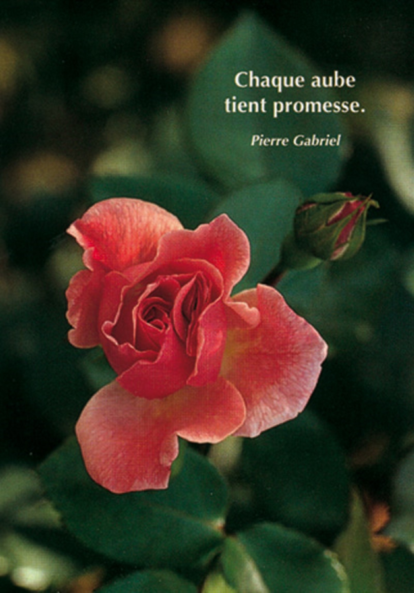 PACK SAISONS CP383 10EX