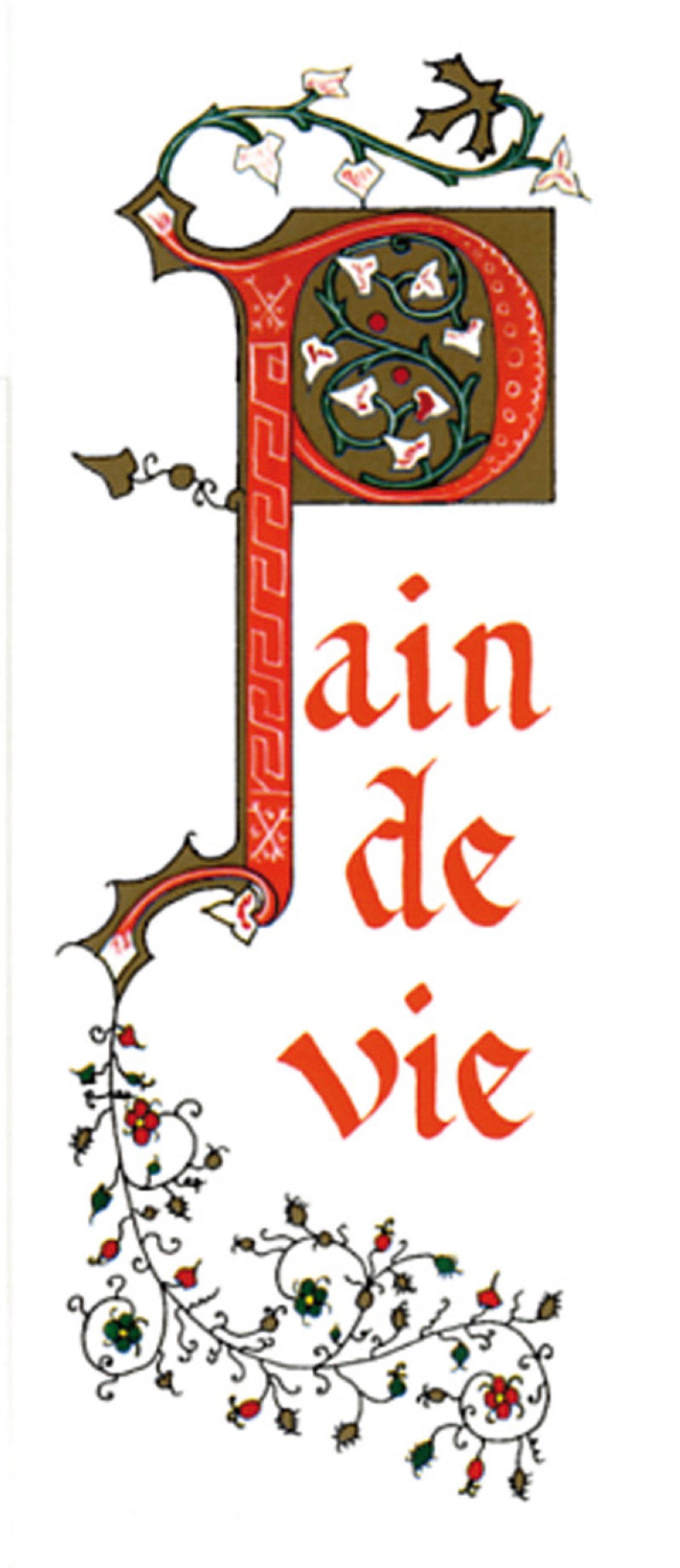 PACK TEMPS FORTS SI29 10EX