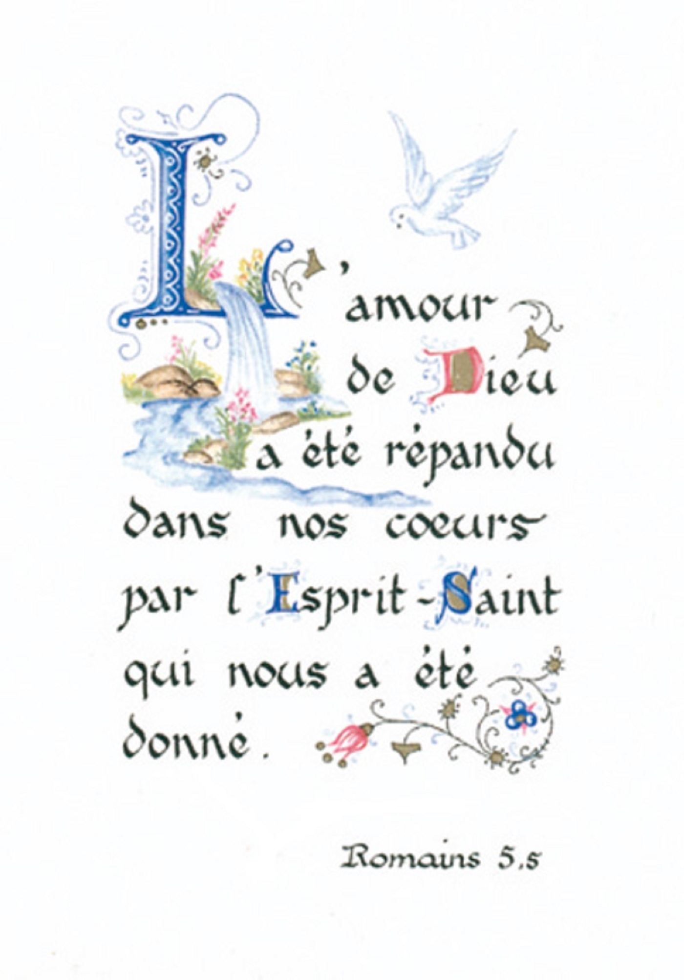 PACK ENLUMINURE AN126 10EX