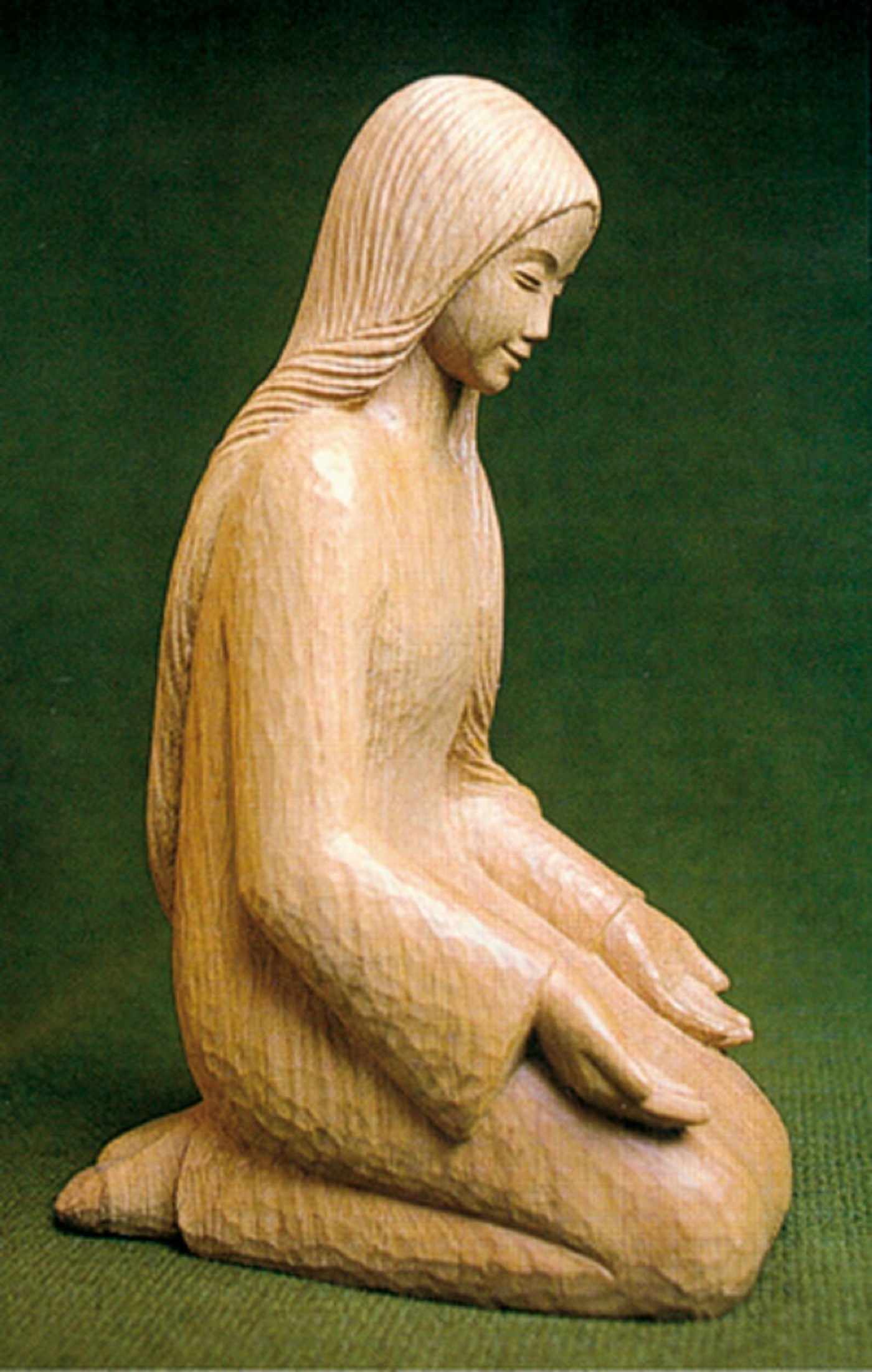 PACK Y LE PAPE LP28 10EX