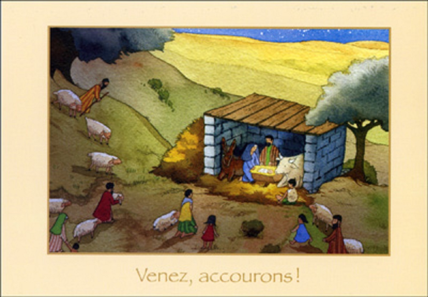 PACK CARTES NOEL NAD24 5EX