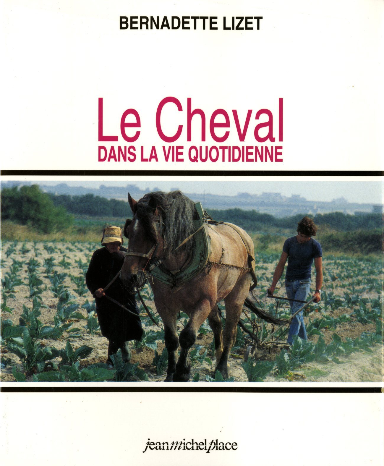 CHEVAL DANS LA VIE QUOTIDIENNE