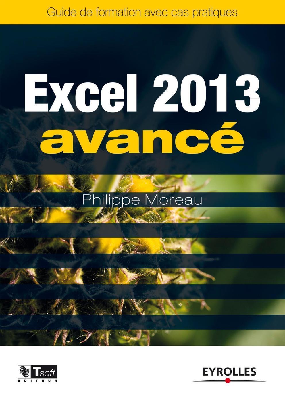 Excel 2013 Avancé