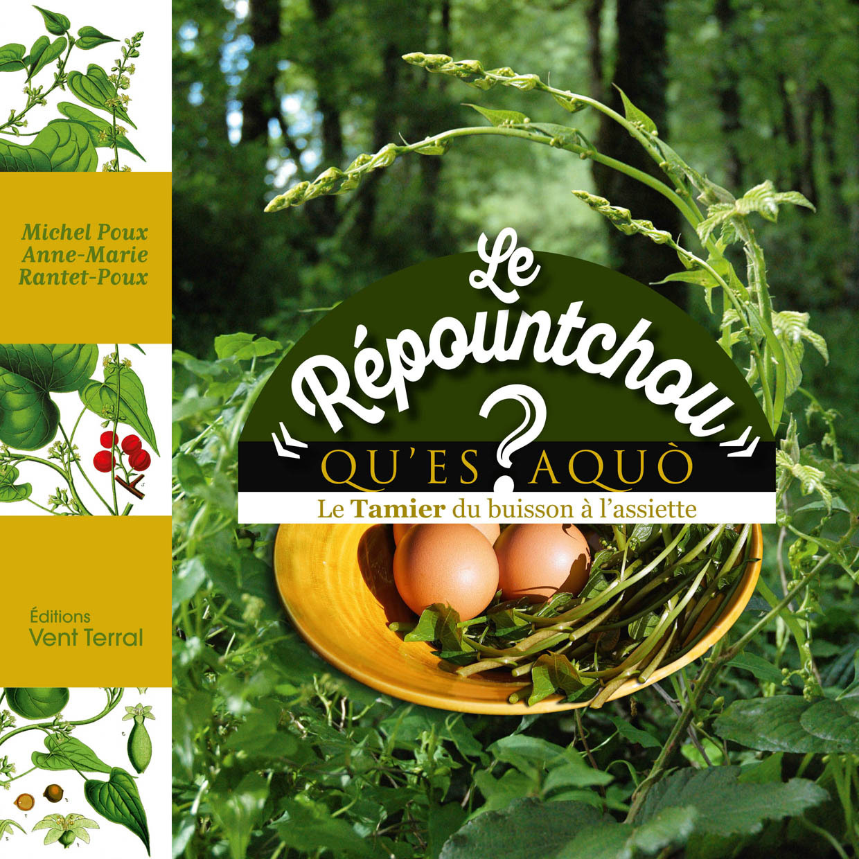 Le « Répountchou » qu’es aquò ? Le Tamier du buisson à l’assiette