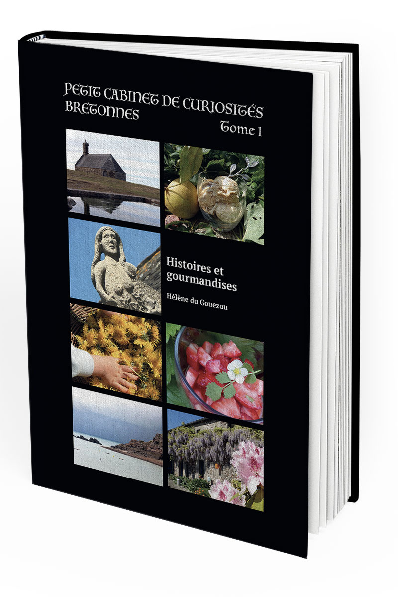 Petit Cabinet de Curiosités Bretonnes de Hélène du Gouezou - Tome 1