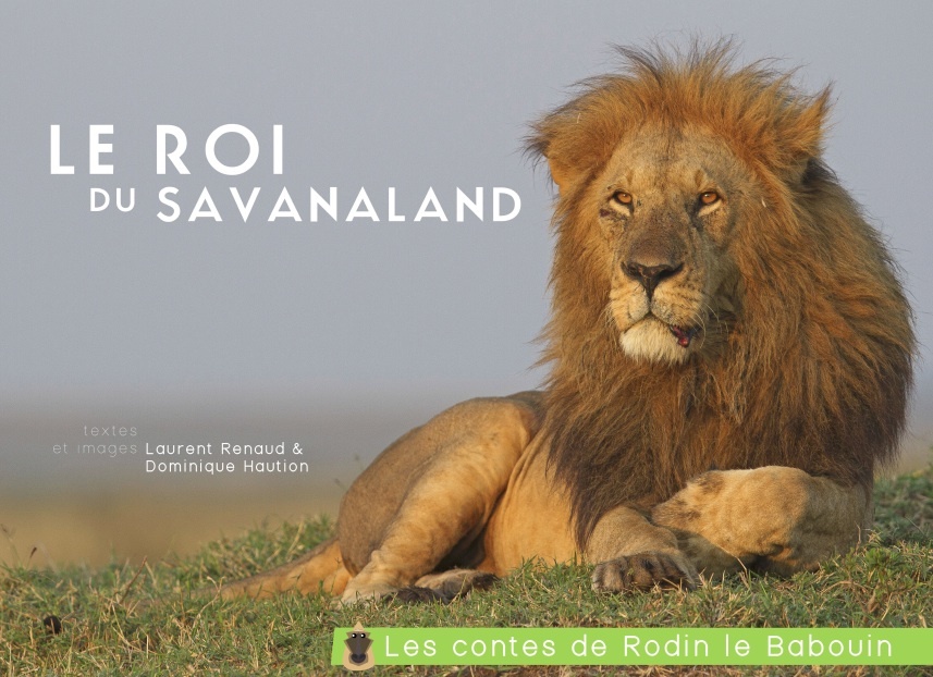 Le roi du savanaland