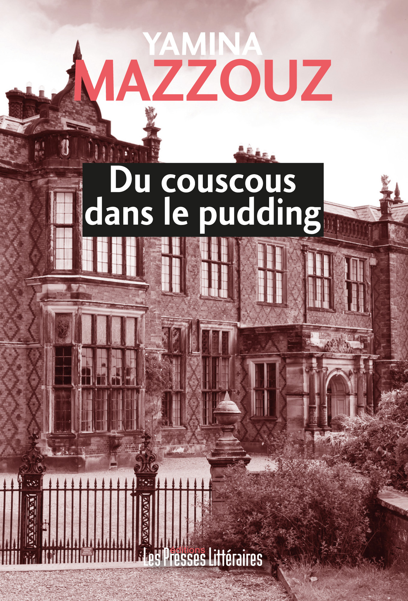 DU COUSCOUS DANS LE PUDDING