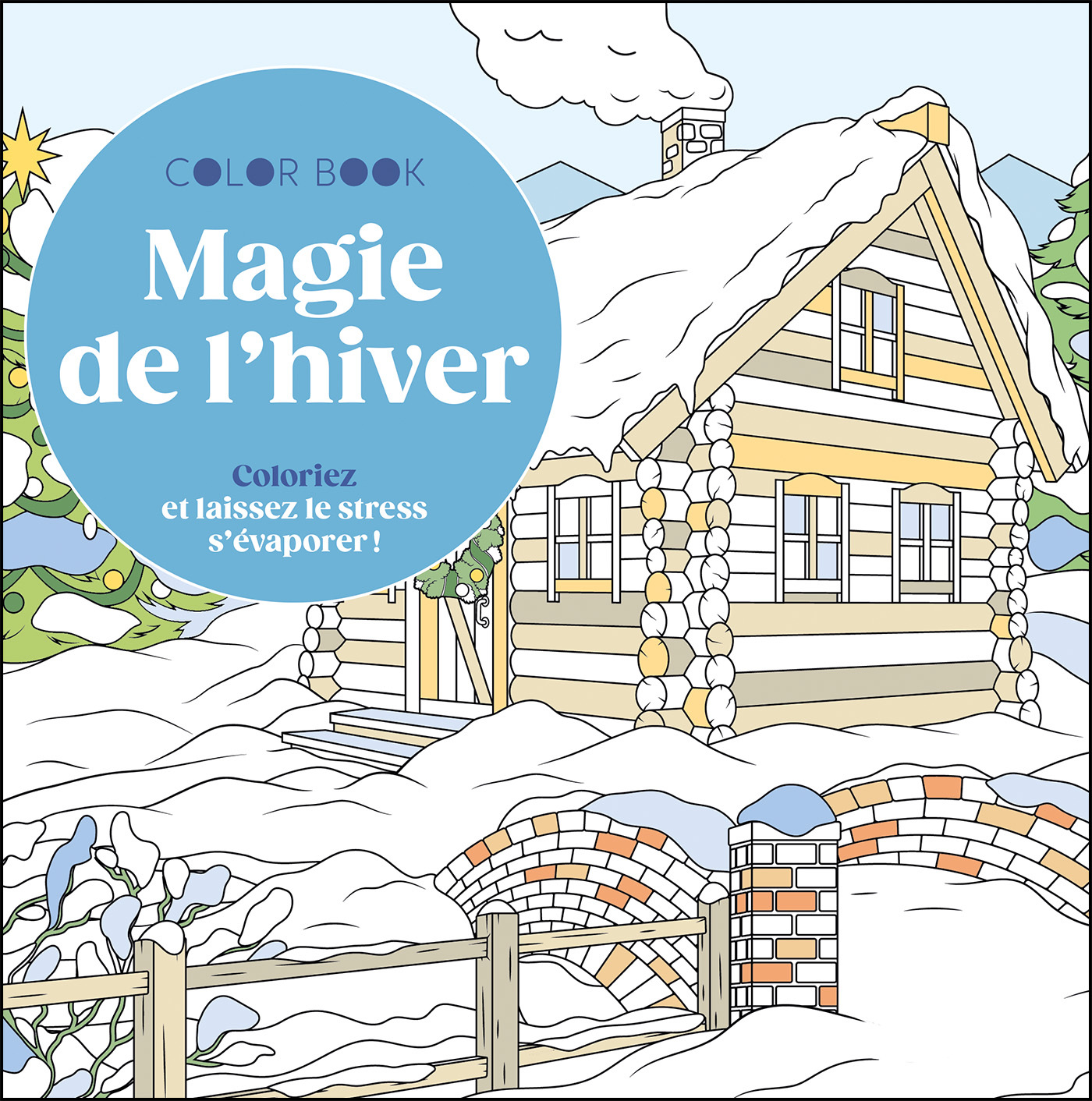 Coloriages - Magie de l'hiver
