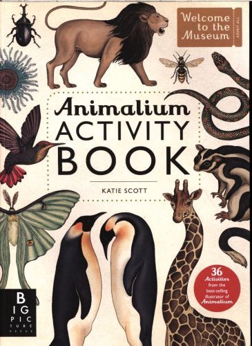 Animalium Activity Book