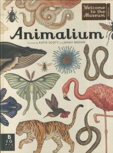 Animalium