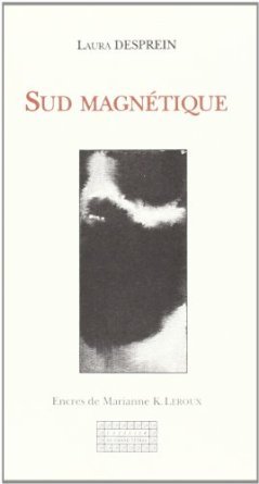 Sud magnétique - roman