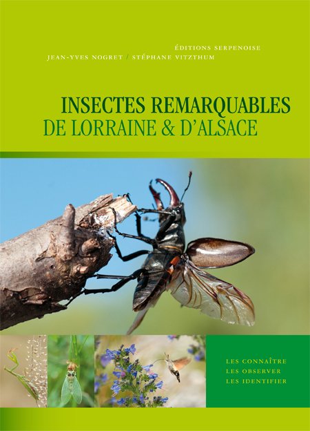 INSECTES REMARQUABLES DE LORRAINE ET D'ALSACE