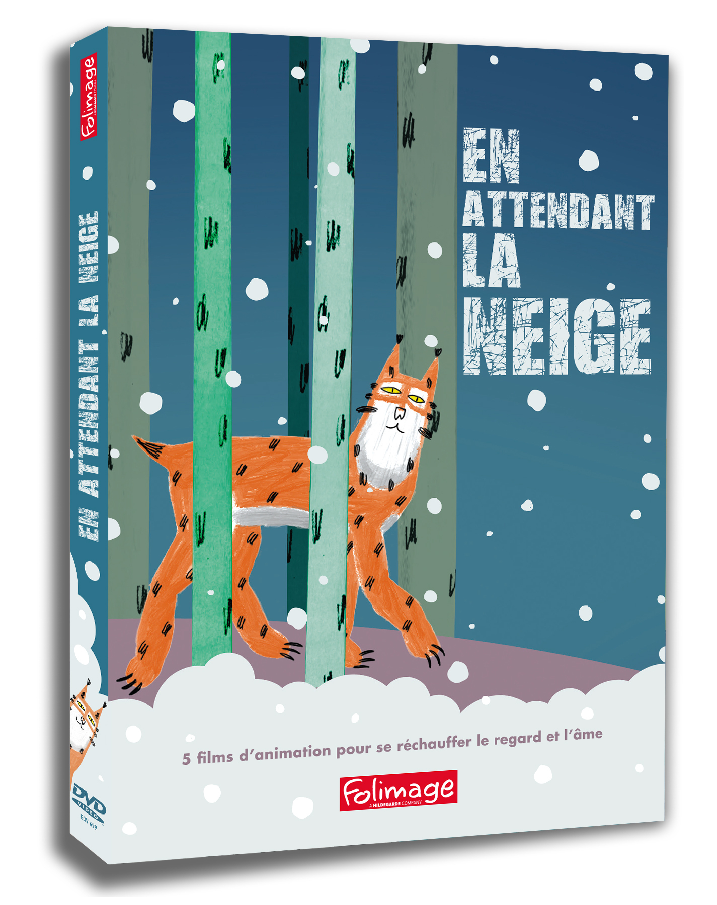 EN ATTENDANT LA NEIGE - DVD