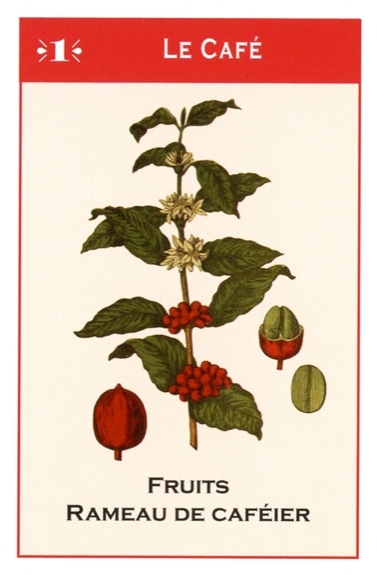 Autour du petit déjeuner