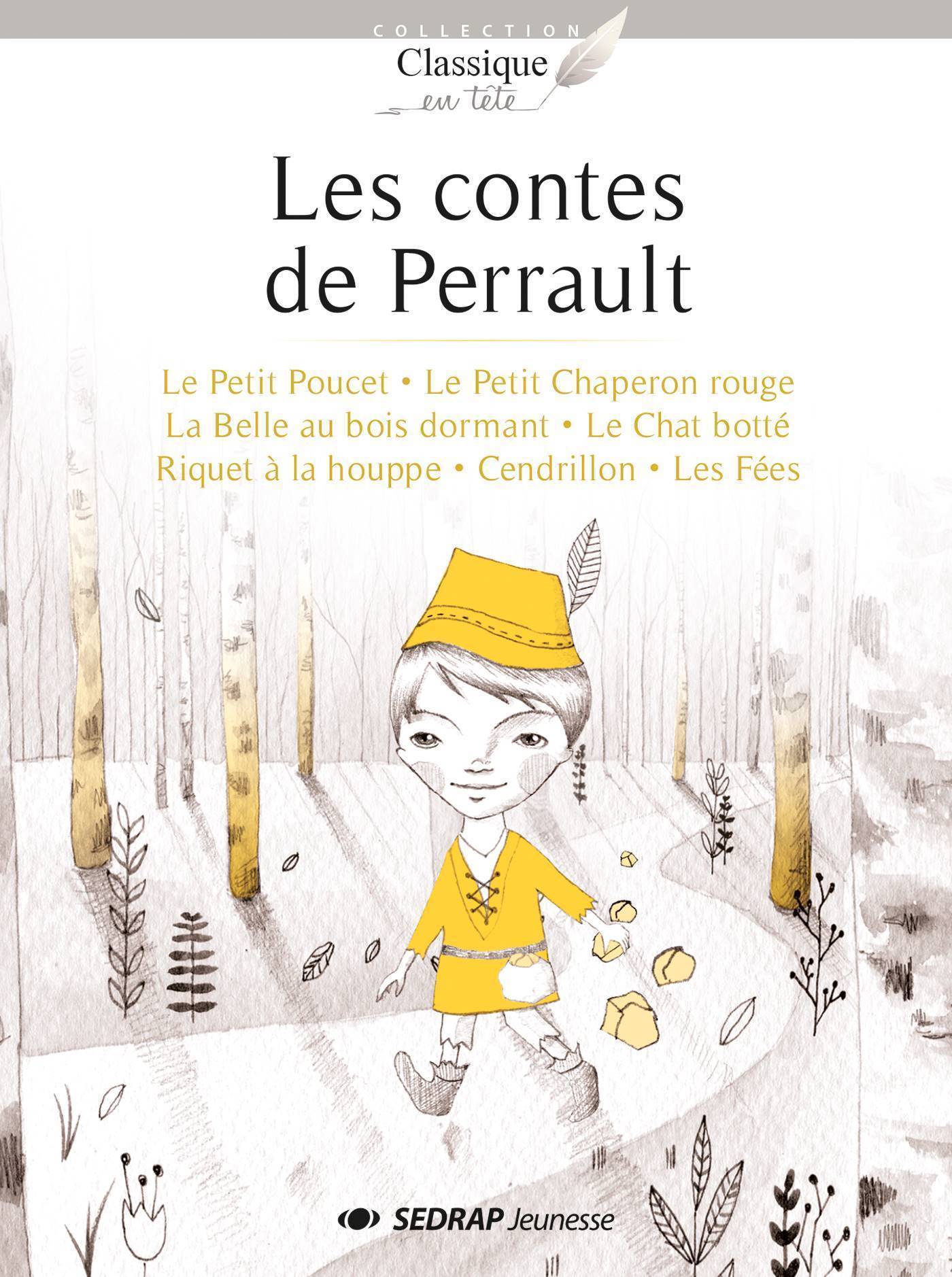 CONTES DE PERRAULT - ROMAN