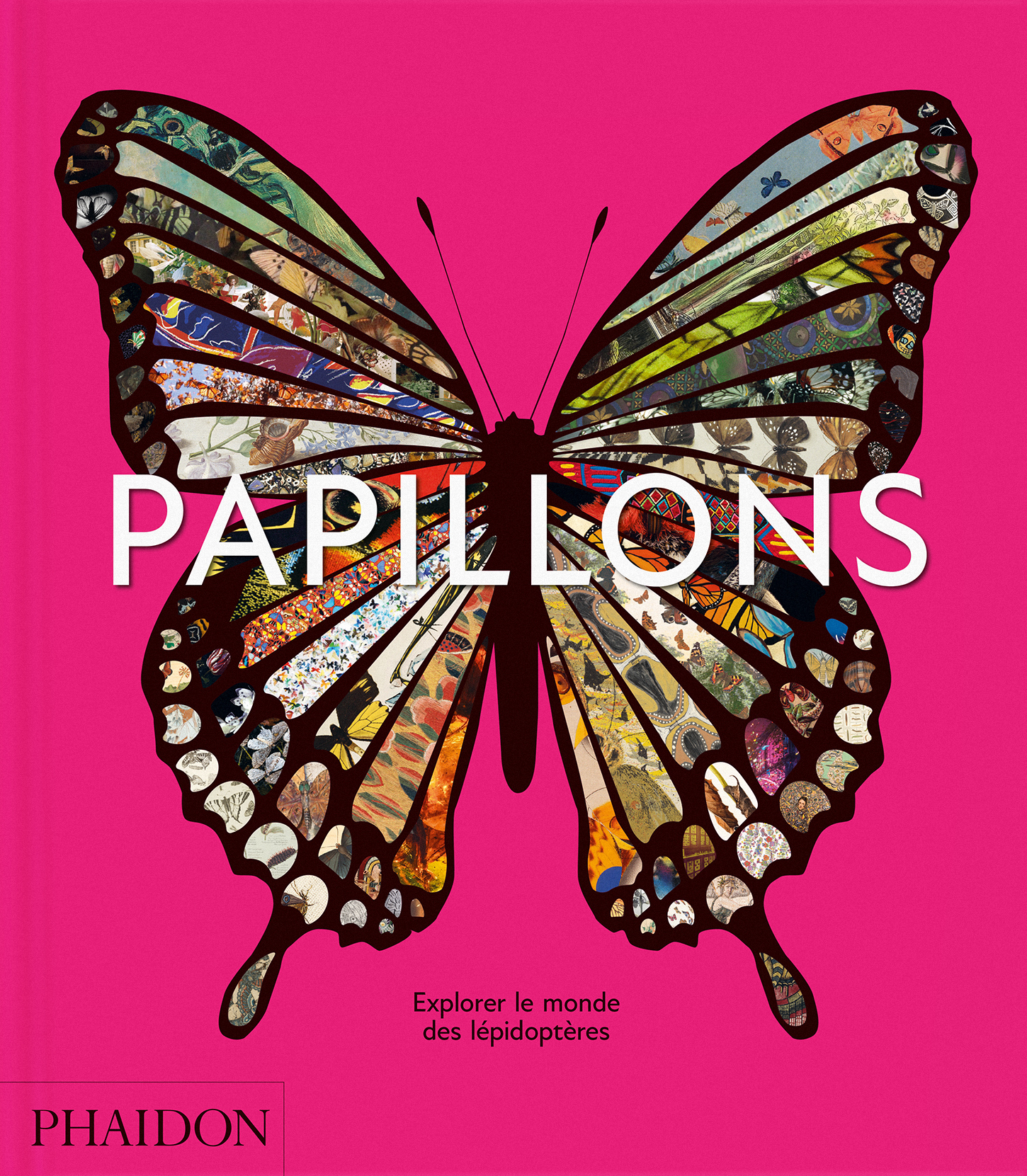 Papillons