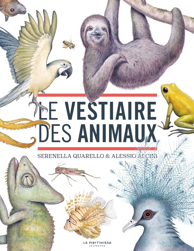 Dans le vestiaire des animaux