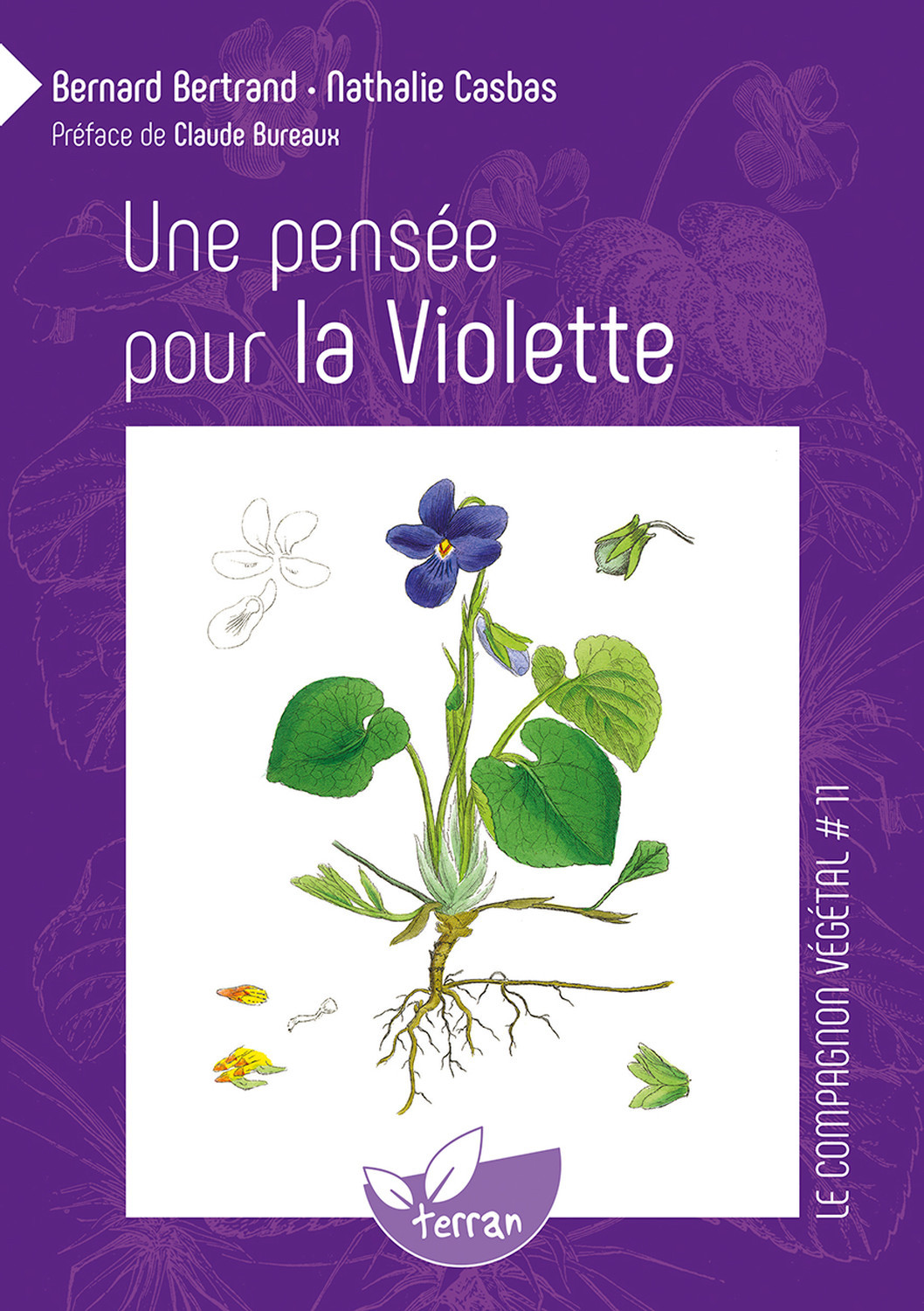 Une pensée pour la Violette - Vol. 11