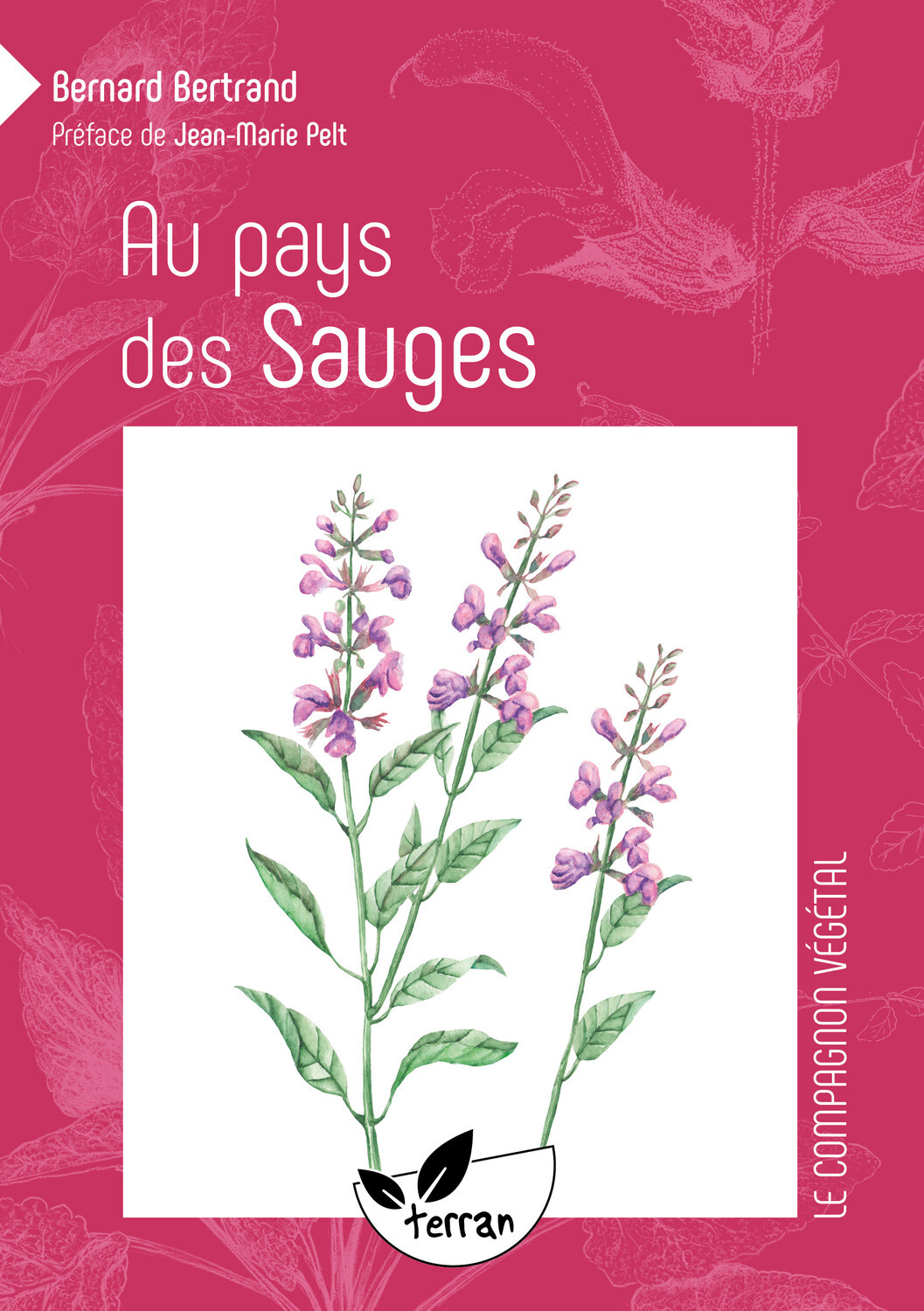 Au pays des Sauges