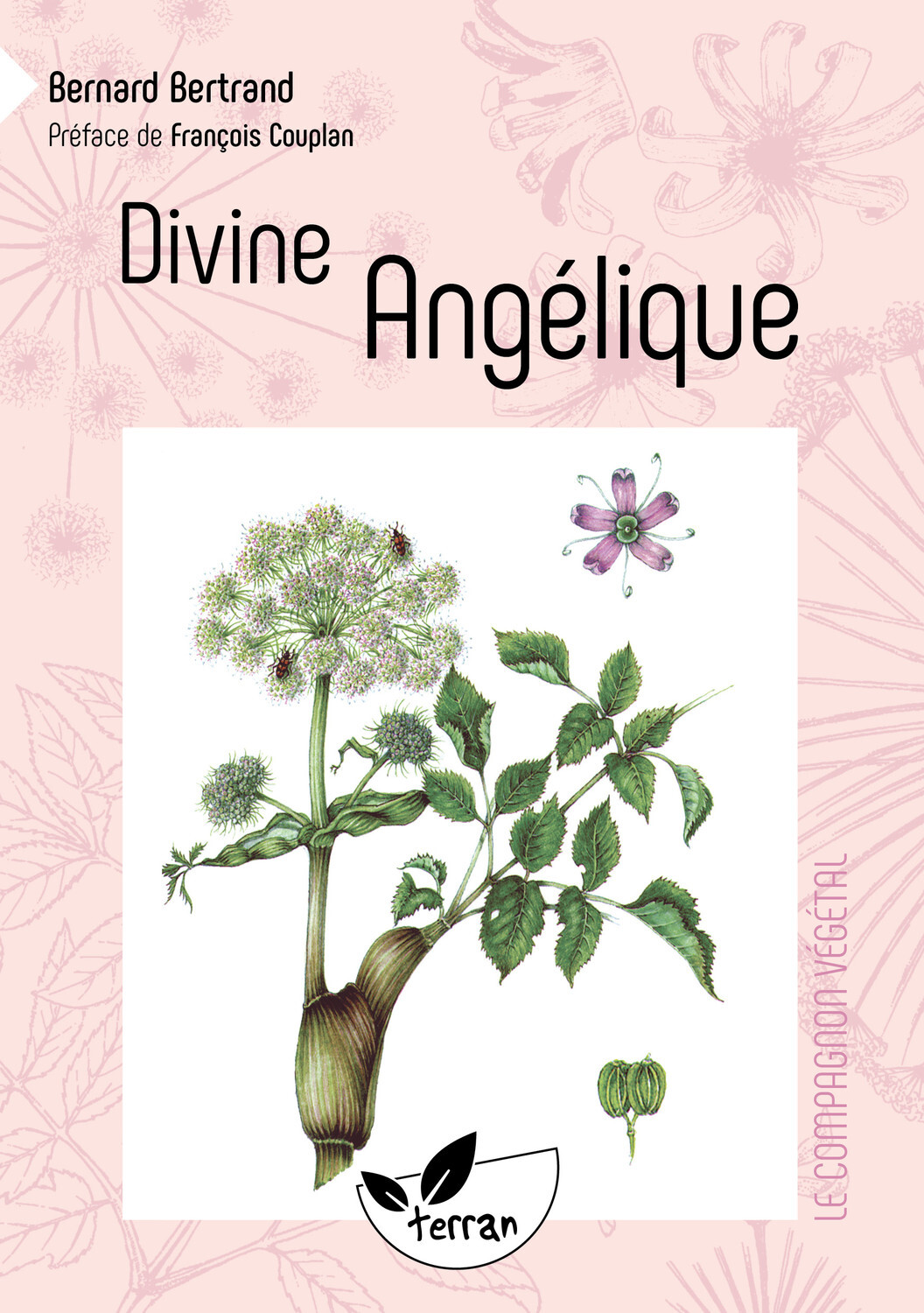Divine Angélique