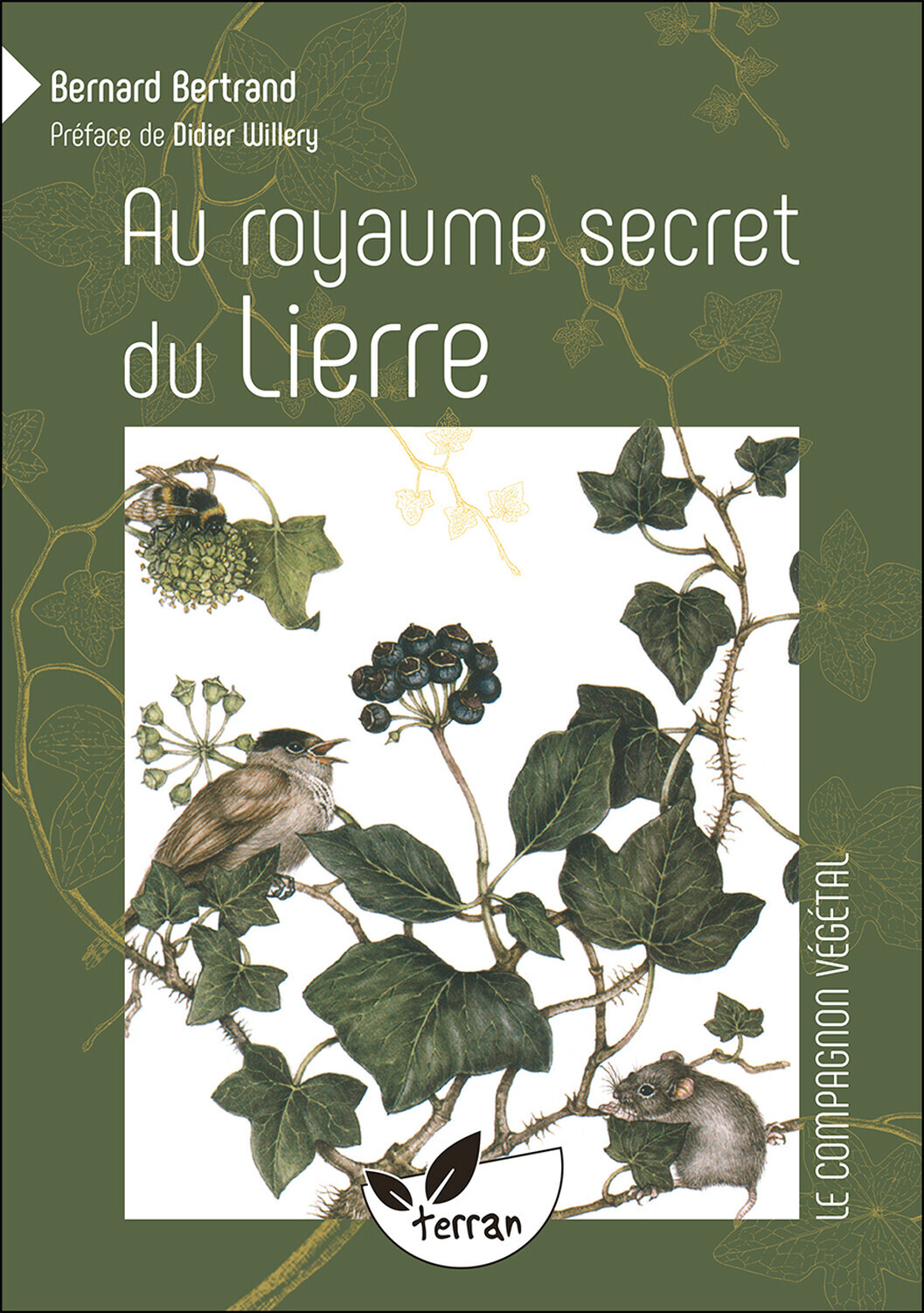 Au royaume secret du Lierre