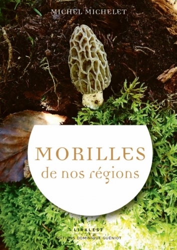 Morilles de nos régions et écologie