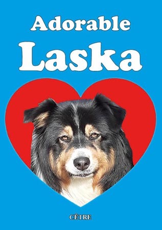 Adorable Laska