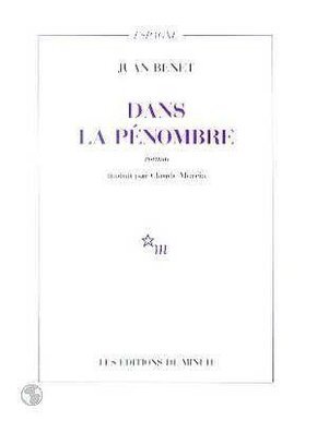 Dans la pénombre