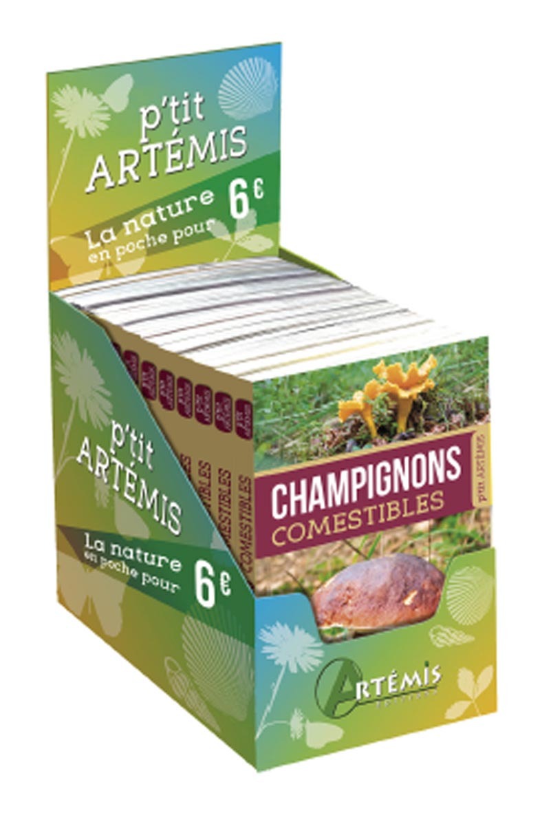 BOITE 12 EX CHAMPIGNONS COMESTIBLES