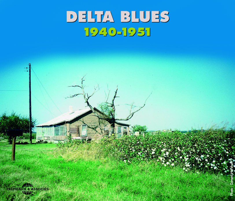 DELTA BLUES 1940 1951 BB KING WILLIE LOVE IKE TURNER ETC ANTHOLOGIE MUSICALE COFFRET DOUBLE CD AUDIO