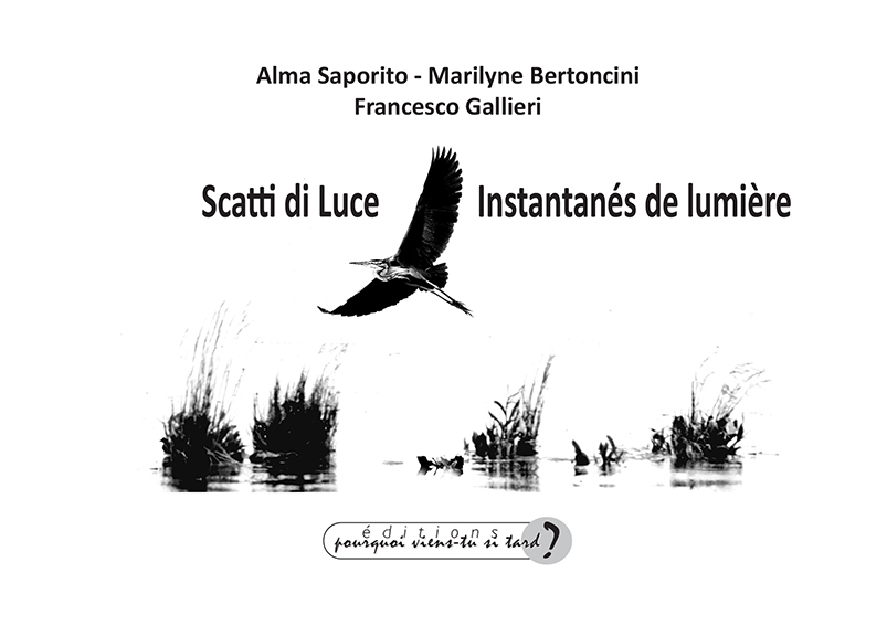 SCATTI DI LUCE - INSTANTANÉS DE LUMIÈRE