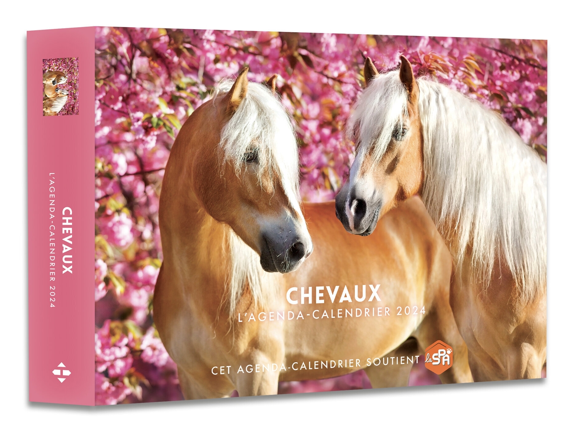 Agenda - Calendrier Chevaux 2024