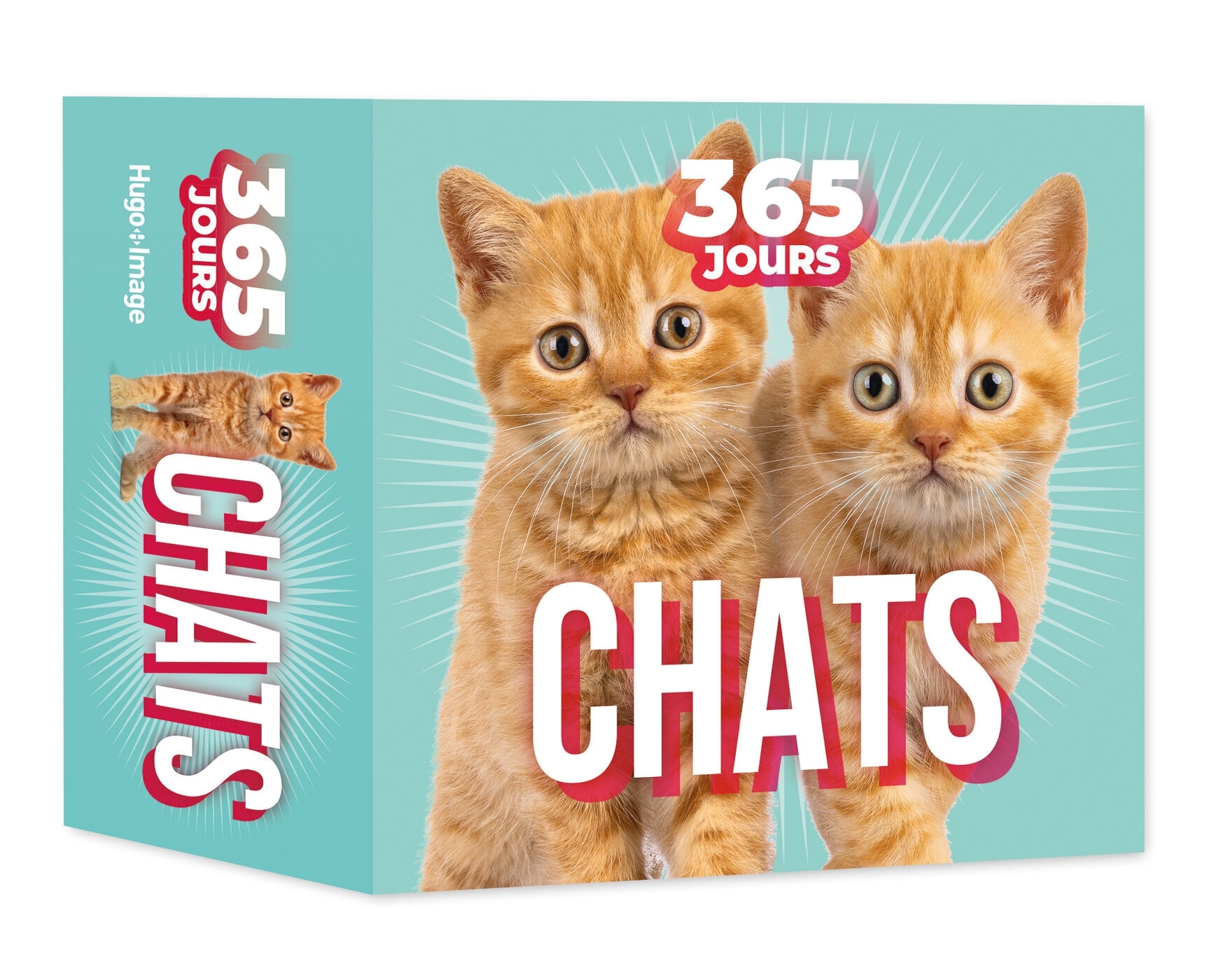 365 jours Chats - 2026