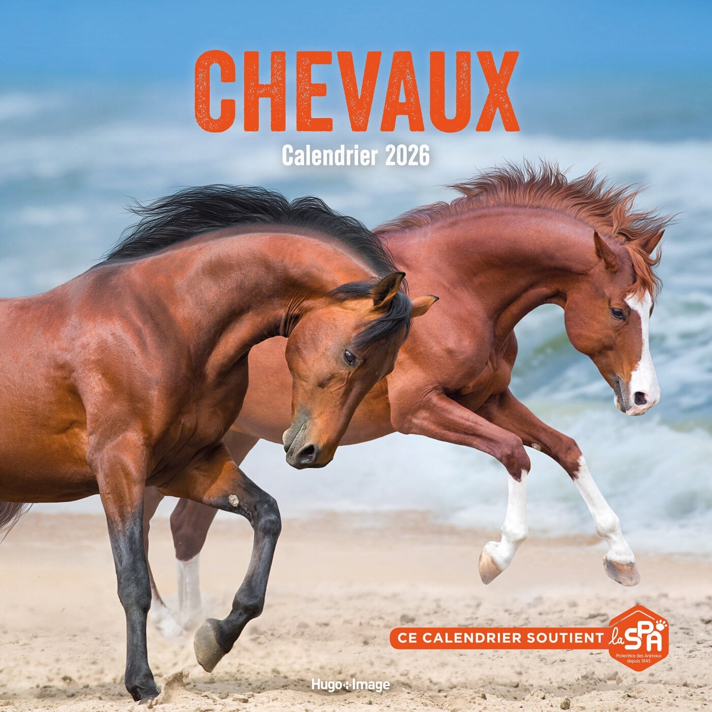 Calendrier mural Chevaux 2026
