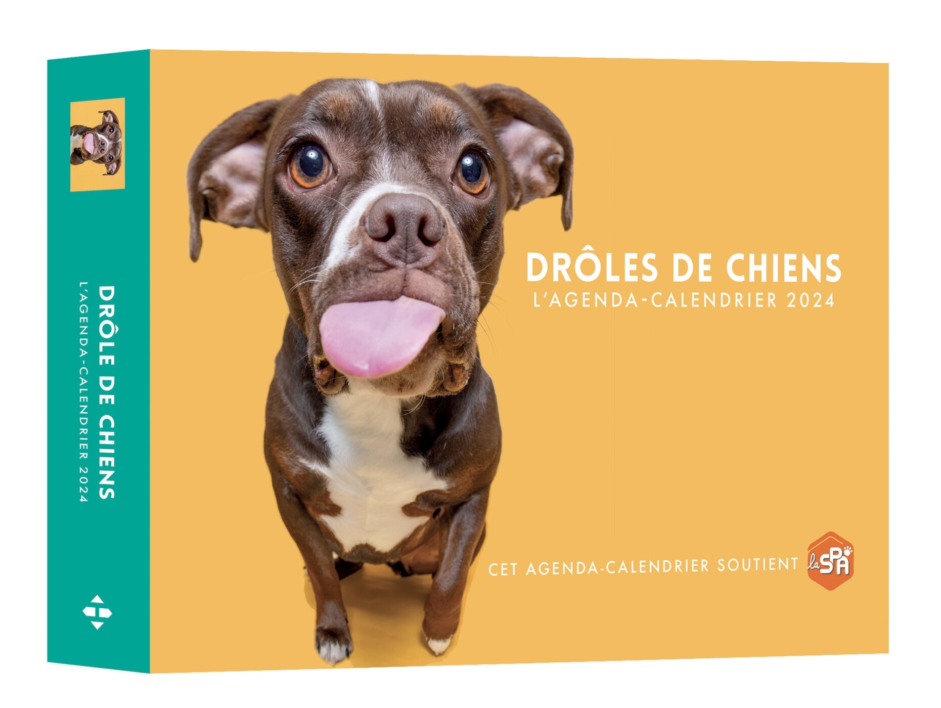 Agenda - Calendrier Drôles de chiens 2024