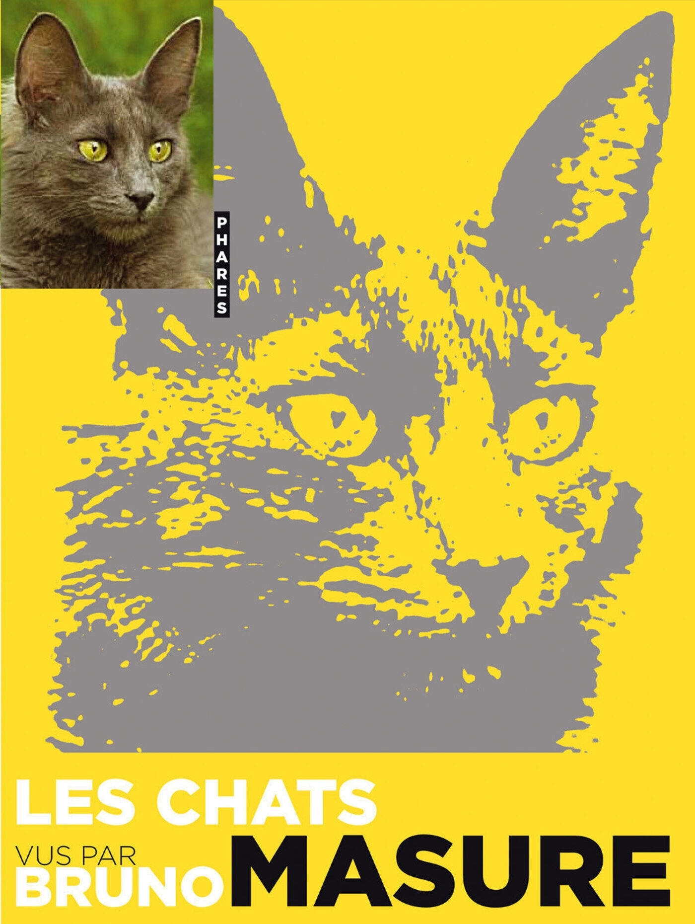 Les chats vu par bruno masure