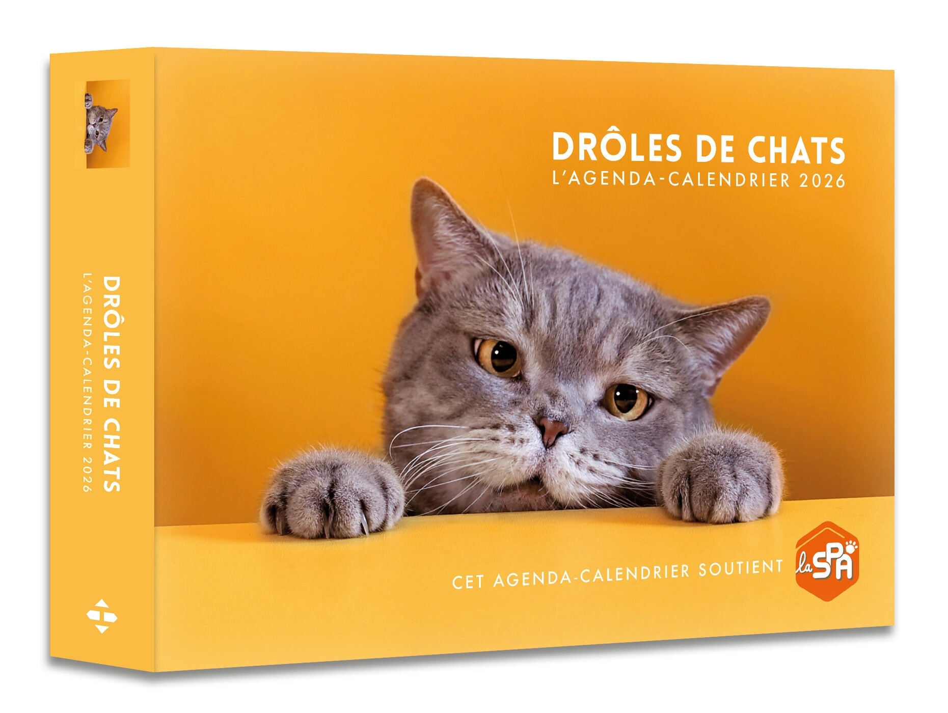 Agenda - Calendrier Drôles de chats 2026
