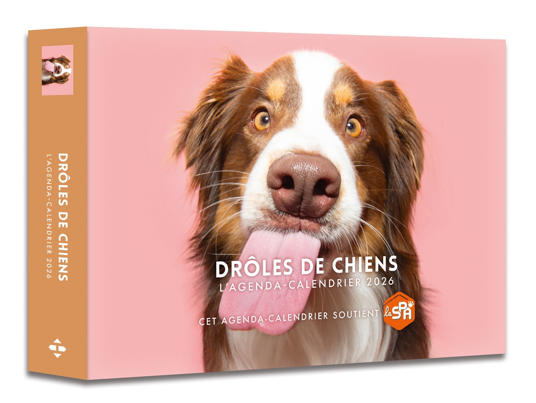 Agenda - Calendrier Drôles de chiens 2026