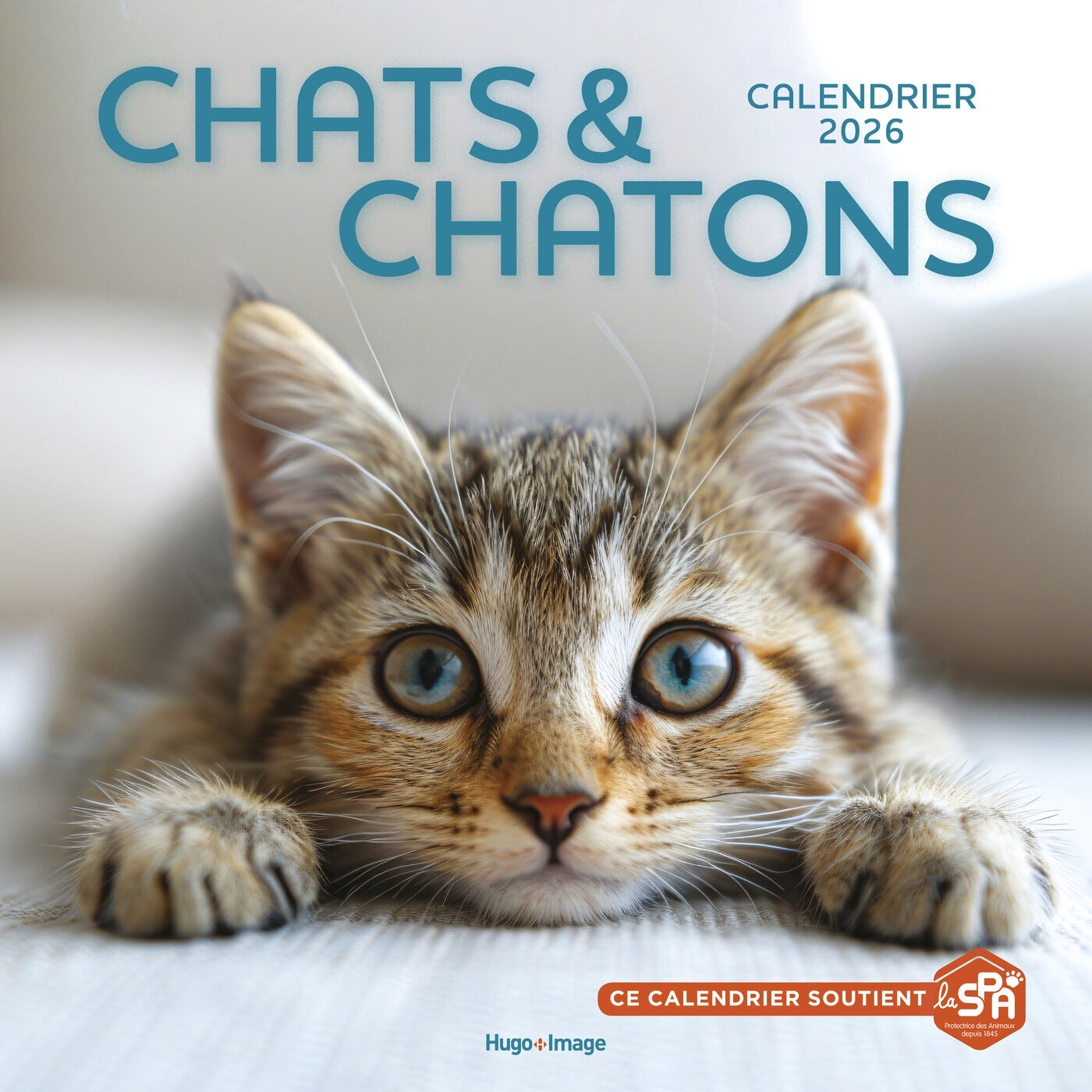 Calendrier mural Chats et Chatons 2026