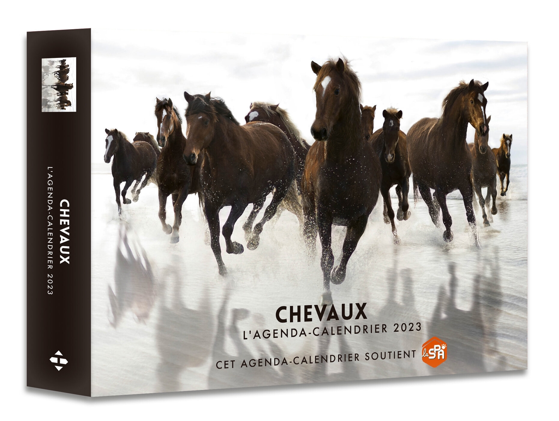 Agenda - Calendrier Chevaux 2023