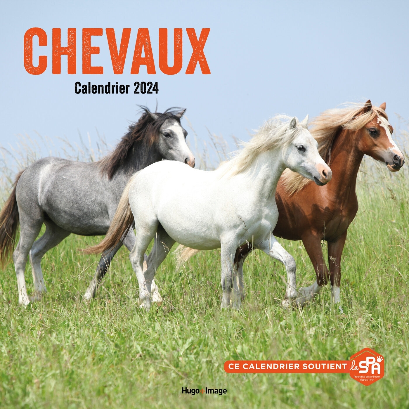 Calendrier mural chevaux 2024